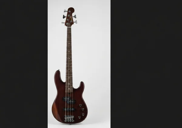 Electric bass guitar with EADG string labels